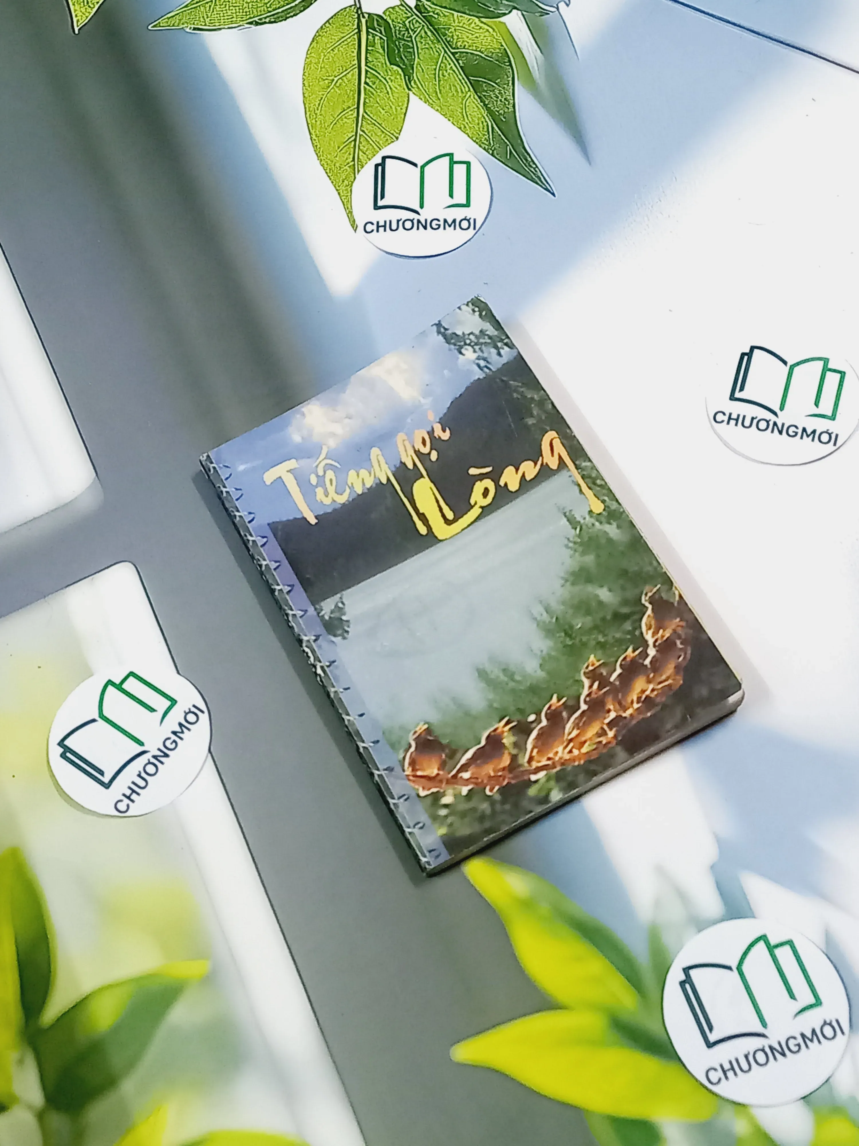 Tiếng Gọi Lòng - Truyện Công Giáo