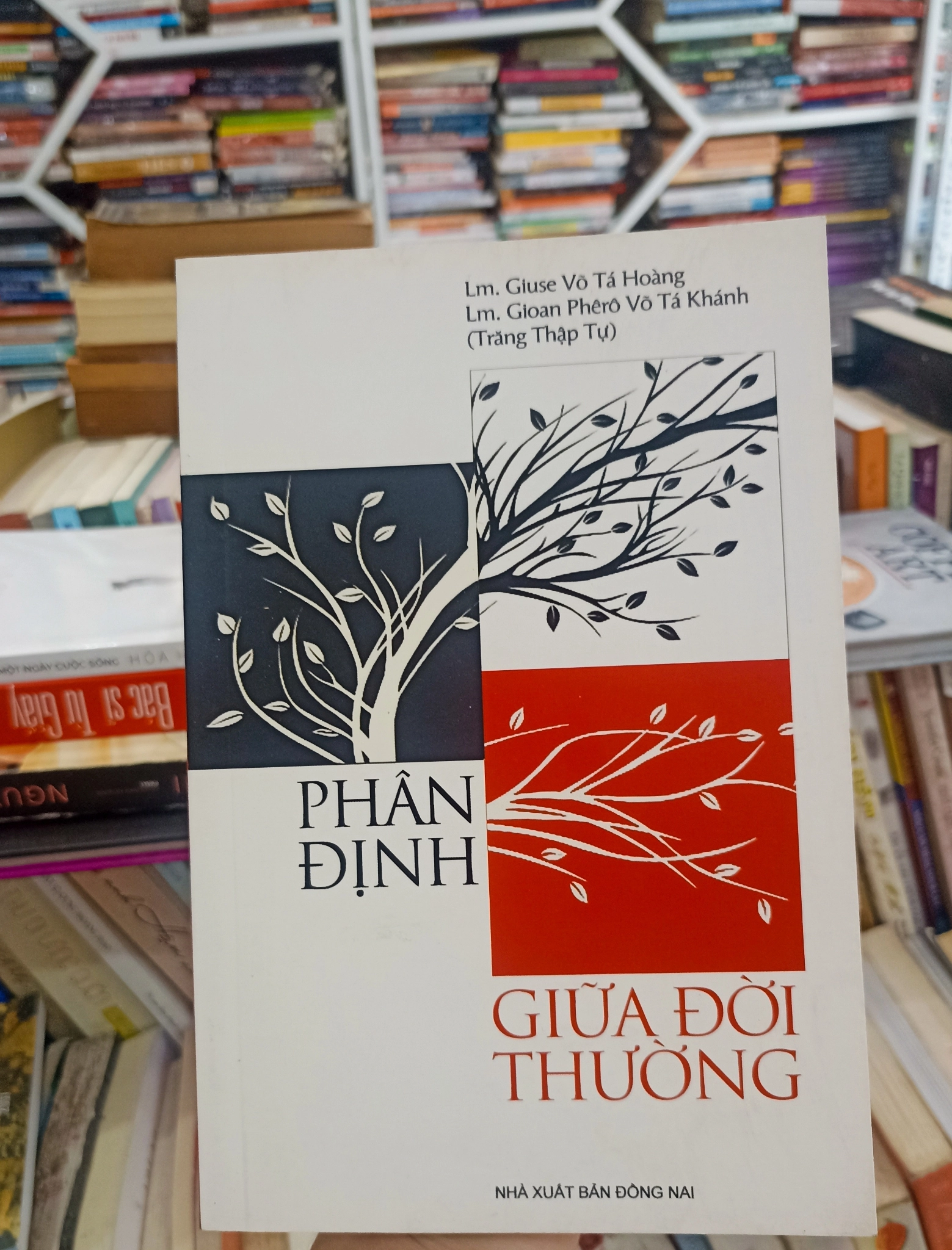 Phân Định Giữa Đời Thường 