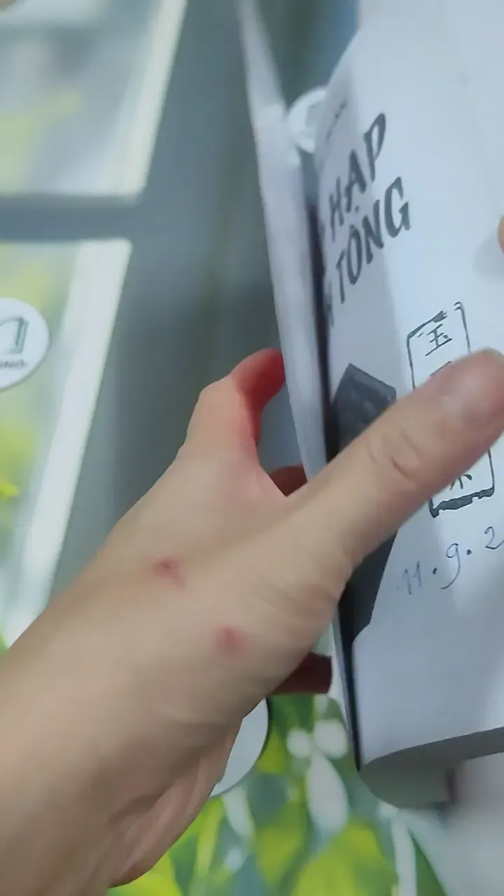 Ngọc Hạp Chánh Tông - Hứa Chân Quân 727381