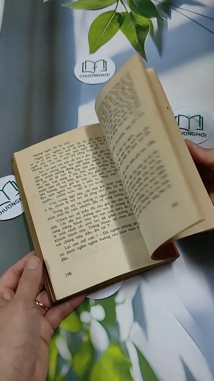 Người Đàn Bà Tuổi Bính Thân - Phạm Thị Minh Thư 713893