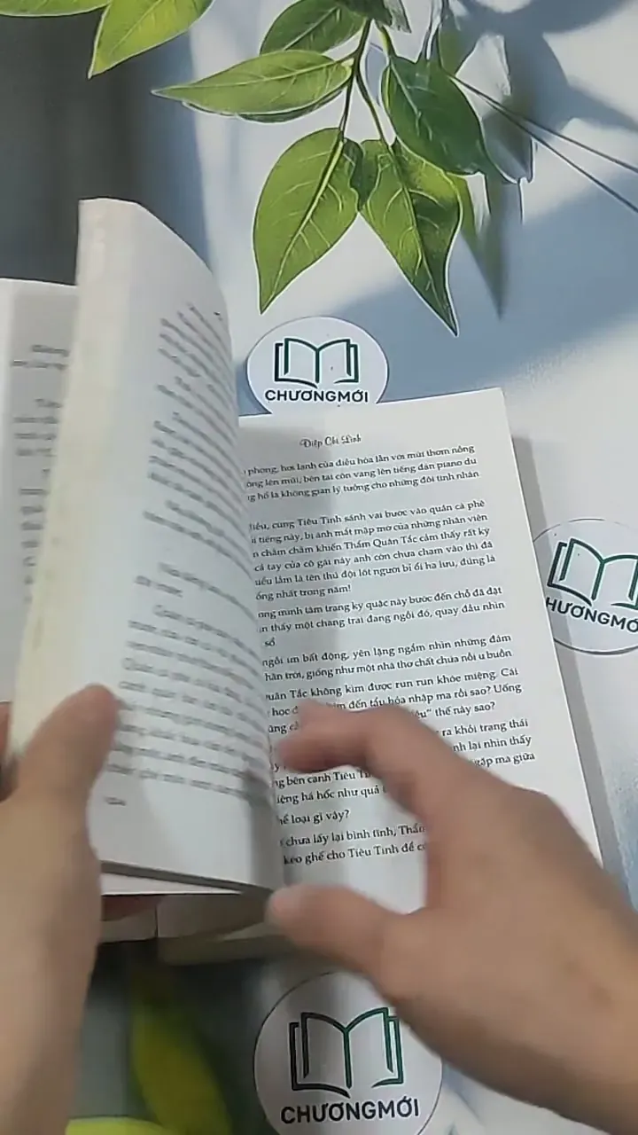 Chờ một ngày nắng - Điệp Chi Linh 694938