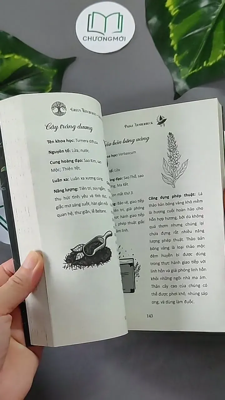 [MIỄN PHÍ BỌC SÁCH] Năng Lượng Từ Thảo Mộc - Paige Vanderbeck 604646