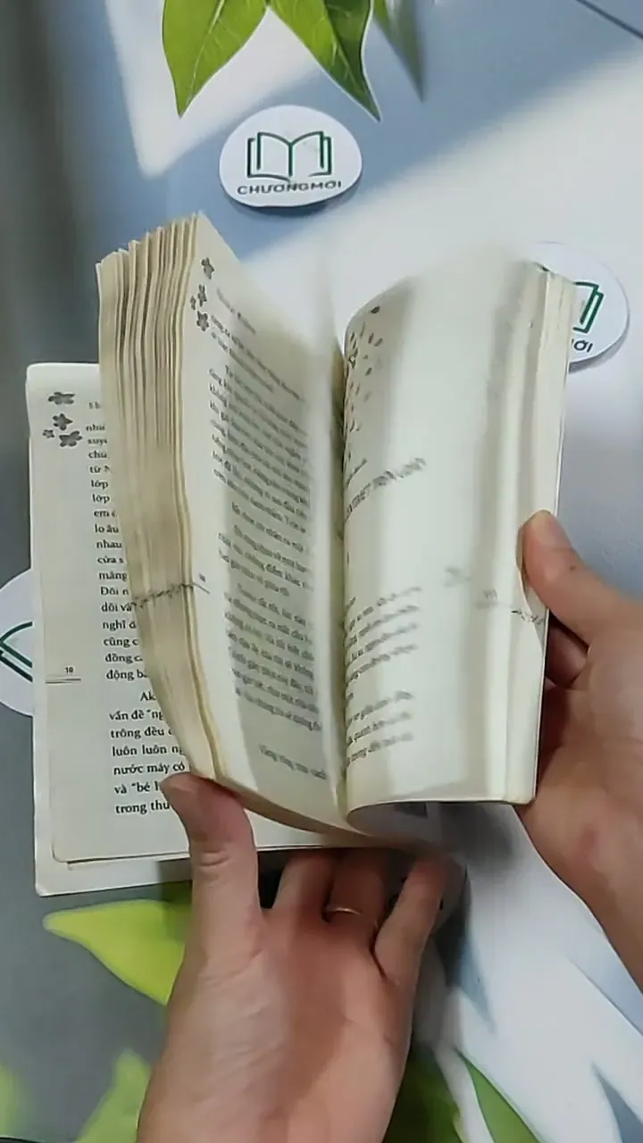 5 Centimet Trên Giây 703127