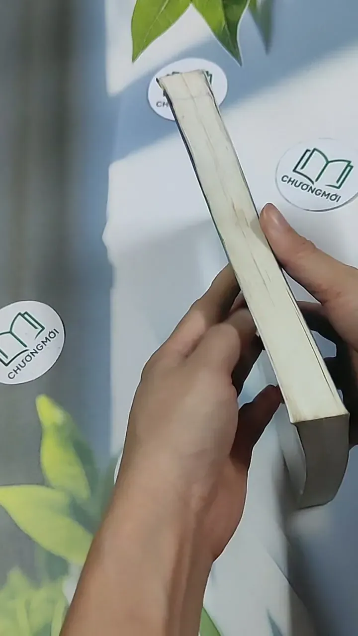 Tuần trăng mật - Honeymoon - James Patterson 698611