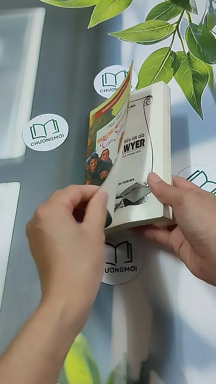 Những Cuộc Phiêu Lưu Của Tom Sawyer 604591