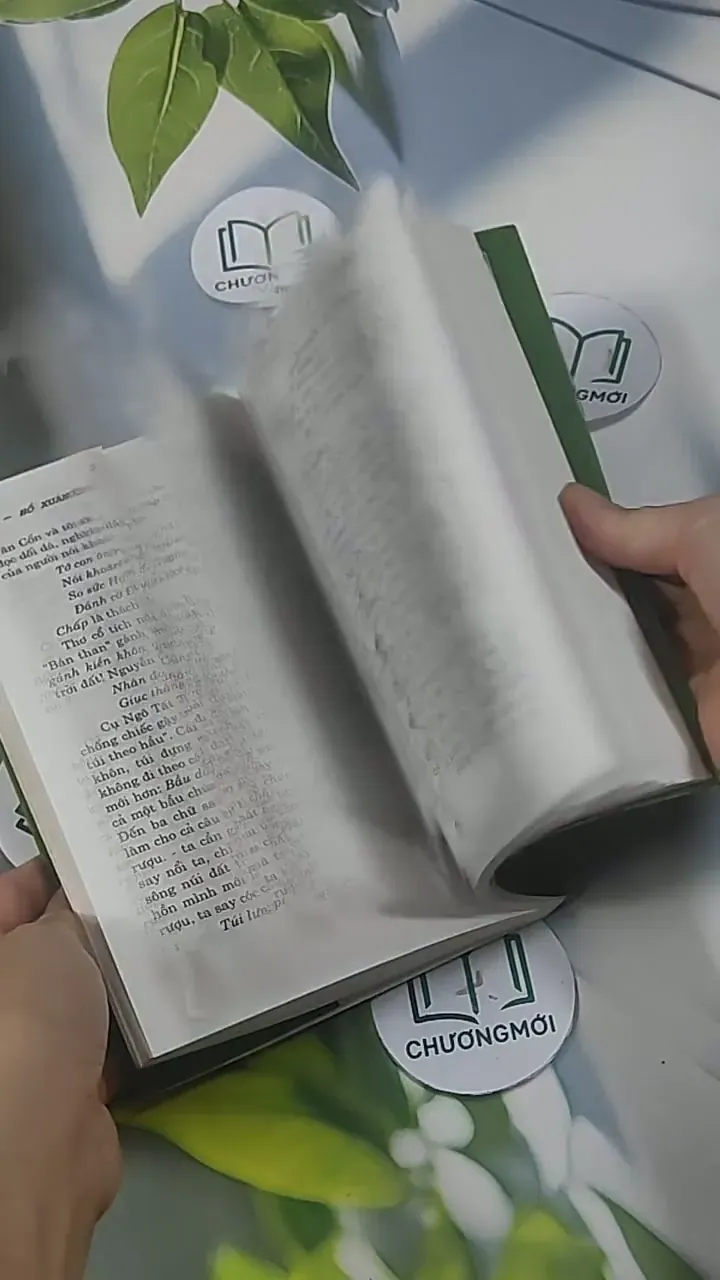 Hồ Xuân Hương Tác Phẩm & Lời Bình - Hồ Xuân Hương 705567