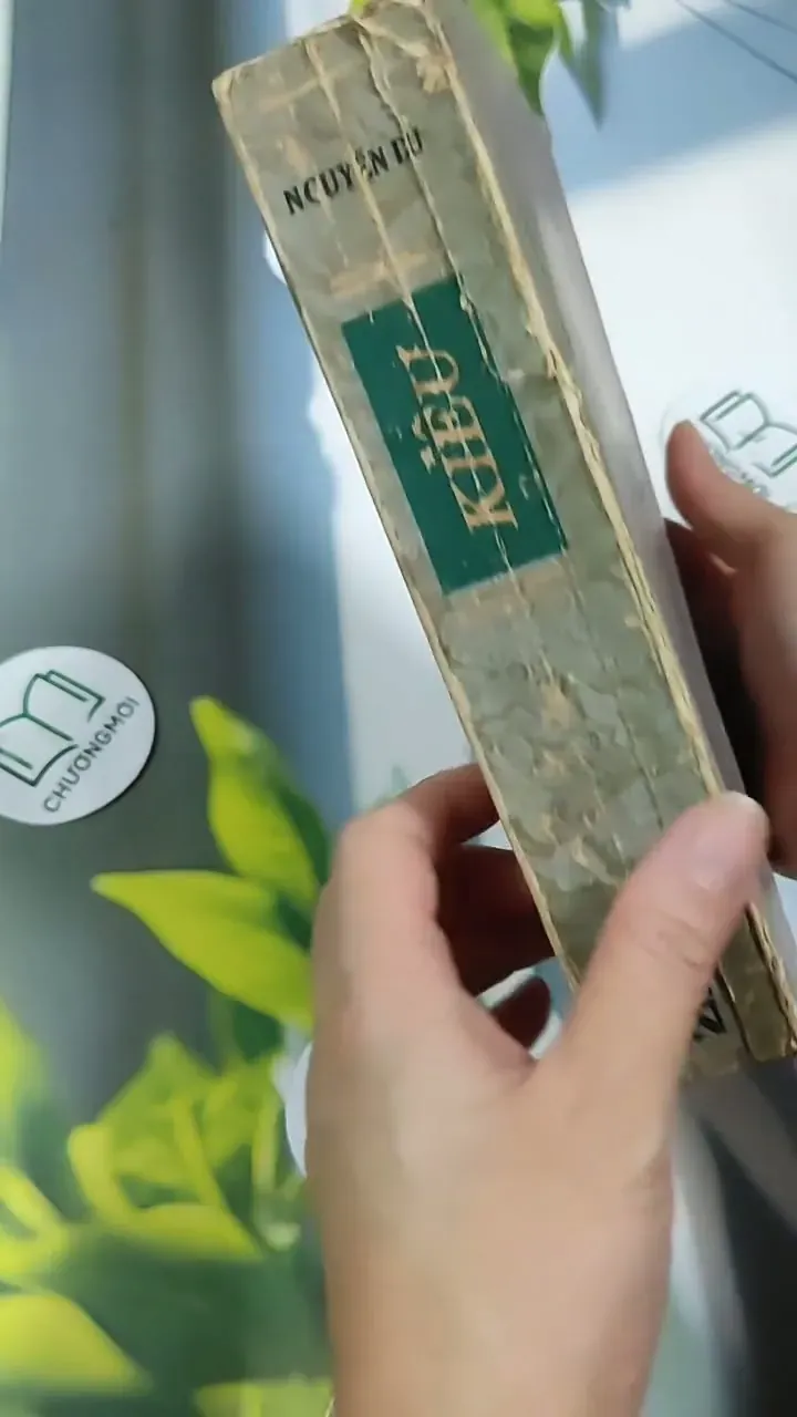 [MIỄN PHÍ BỌC SÁCH] Truyện Kiều - Nguyễn Du 705782