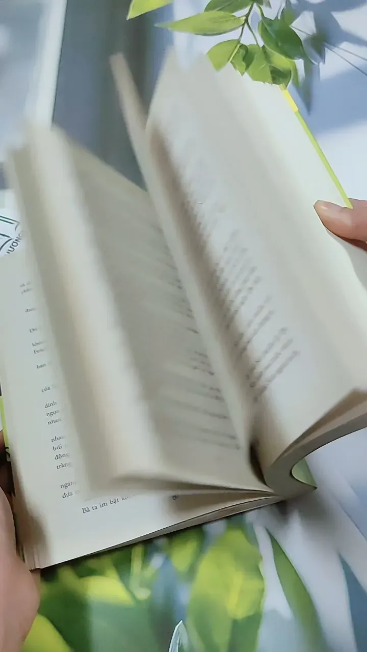 Tín Đồ Shopping Và Chị Gái - Sophie Kinsella 744775