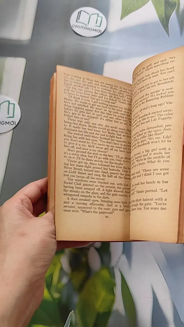 [XƯA] Vinnie (1968) - Albert T. Quandt 754454