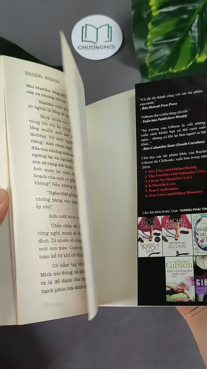 Vương Phải Tình Em - Rachel Gibson 604628