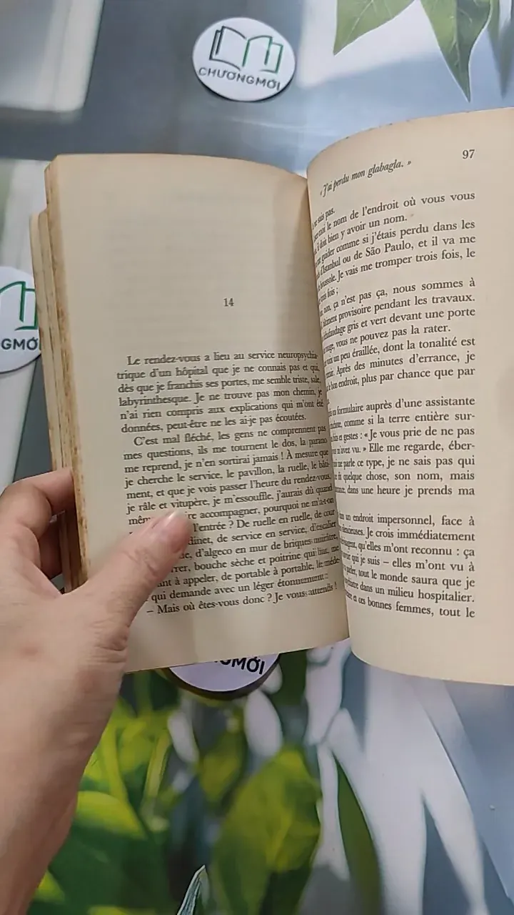[MIỄN PHÍ BỌC SÁCH] Tomber sept fois, se relever huit - Philippe Labro 754471