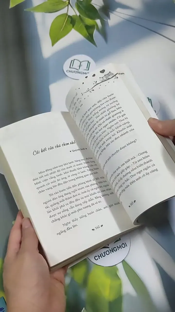 Mở Lòng Và Yêu Đi 707314