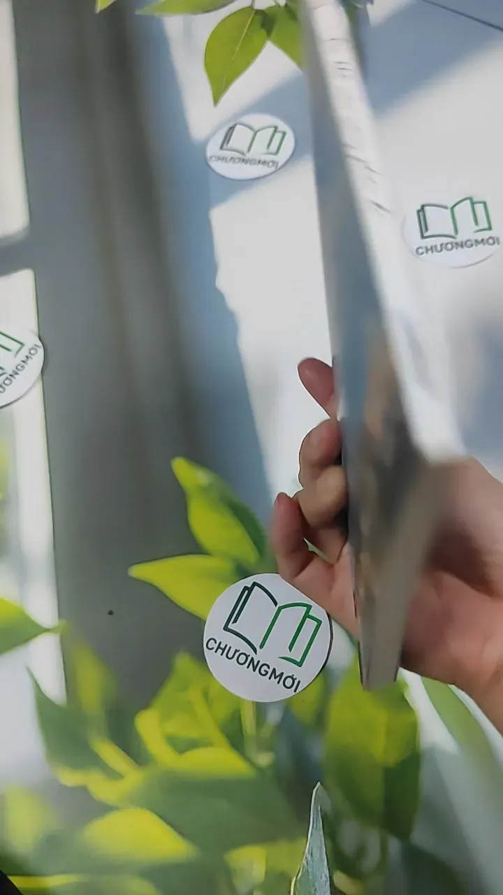 Dù Thế Nào Cũng Phải Đi - Đào Thu Hương 787128