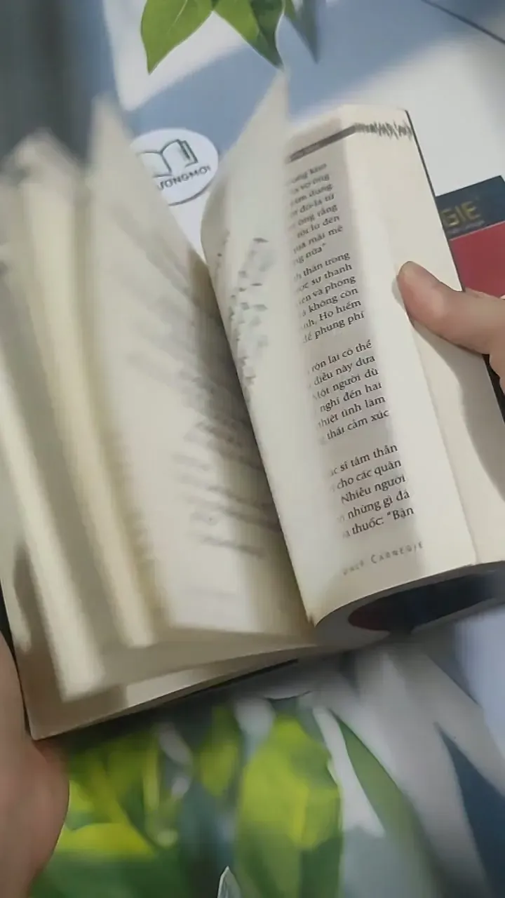 Combo: Quẳng Gánh Lo Đi & Vui Sống - Đắc Nhân Tâm - Dale Carnegie 715574