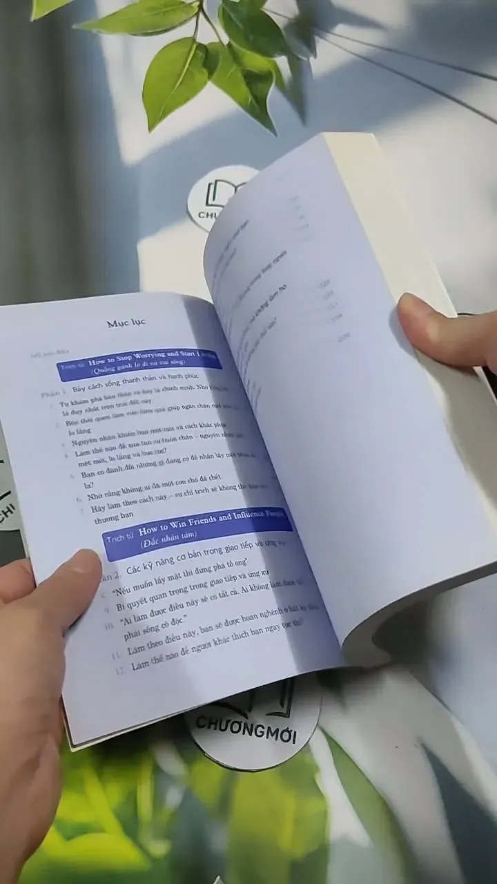 Vui Sống và Làm Việc - Dale Carnegie 707293