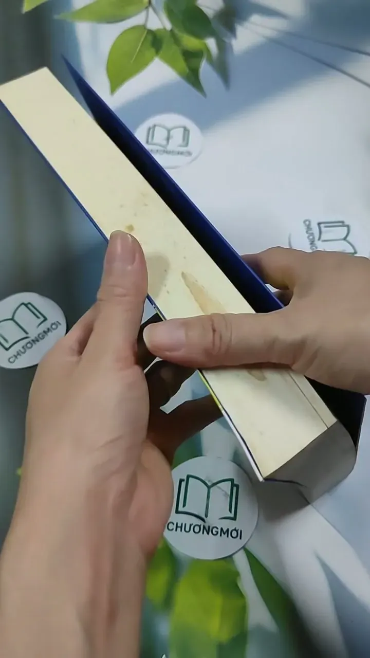 [MIỄN PHÍ BỌC SÁCH] Quản Trị Nhân Sự Đúng - Barbara Mitchell & Cornelia Gamlem 707307