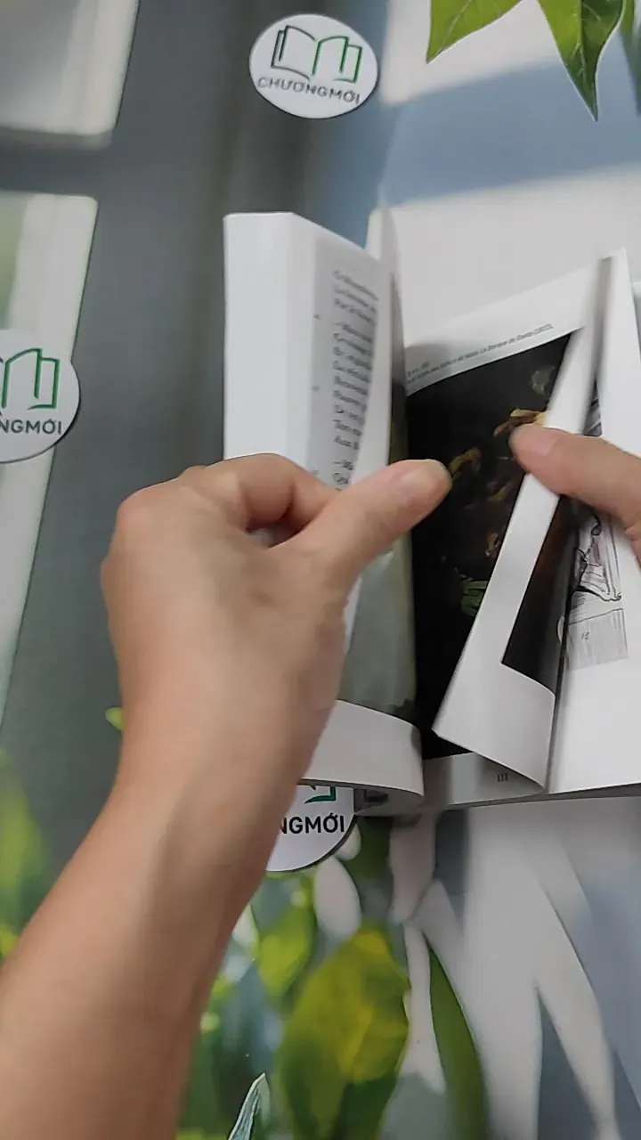 Les Fleurs du mal - Charles Baudelaire 754503