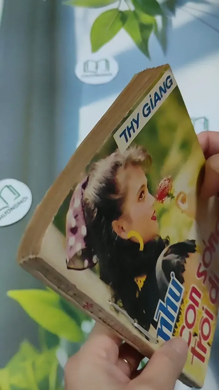 Như Con Sóng Trôi Đi - Thy Giang 713860