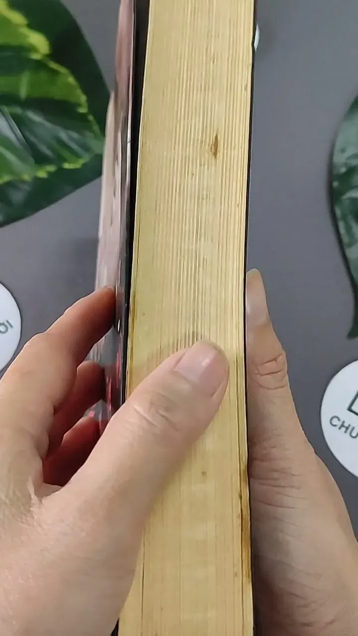 Trong Vòng Nôi Kẻ Thù (2013) - Sara Young 603333