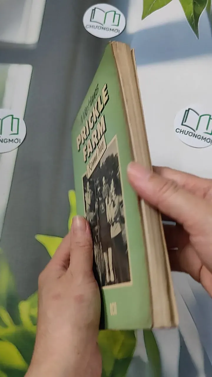 Prickle Farm Round Two - Mike Hayes 754512