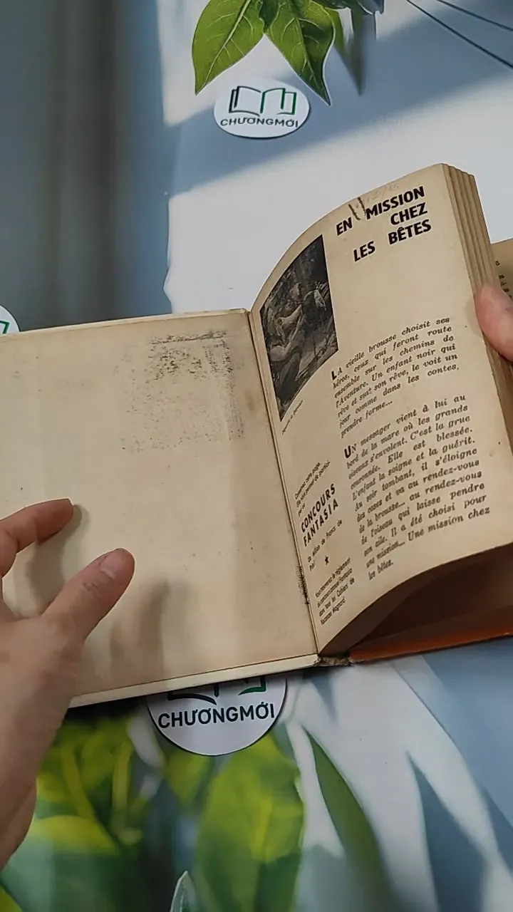 [MIỄN PHÍ BỌC SÁCH] En mission chez les bêtes - Pâquerette de Quénetain 749582