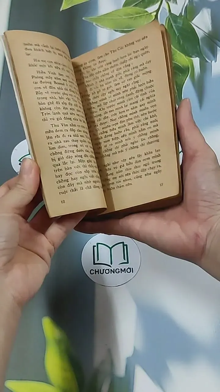 Chút Phận Linh Đinh (1996) - Hồ Biểu Chánh 674979