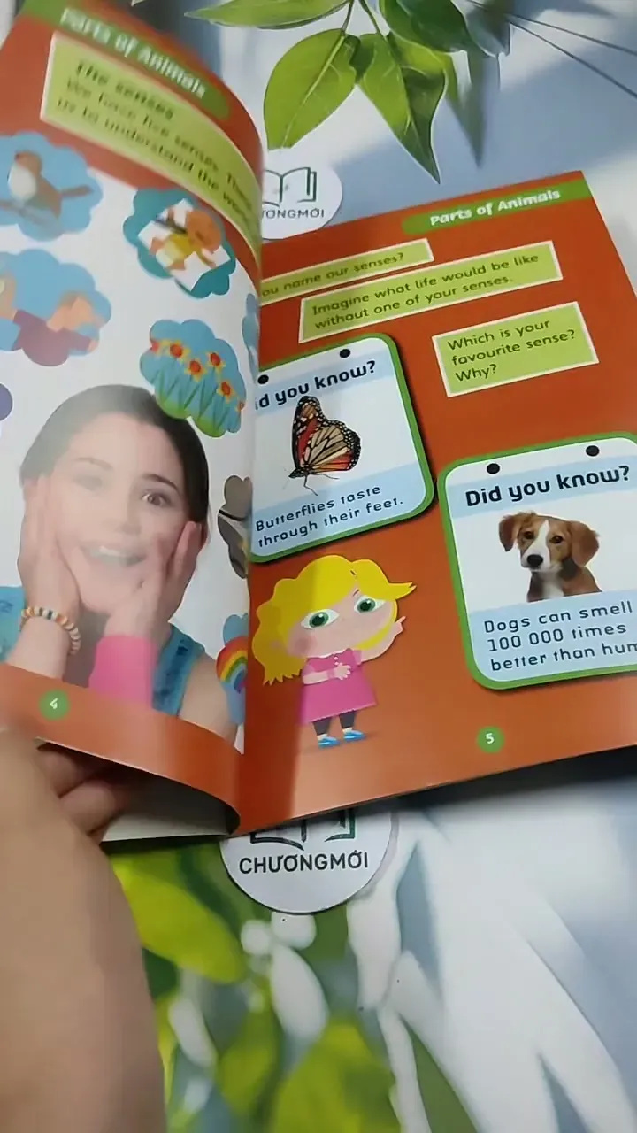 Science Bug Pupil Book Year 159 713904