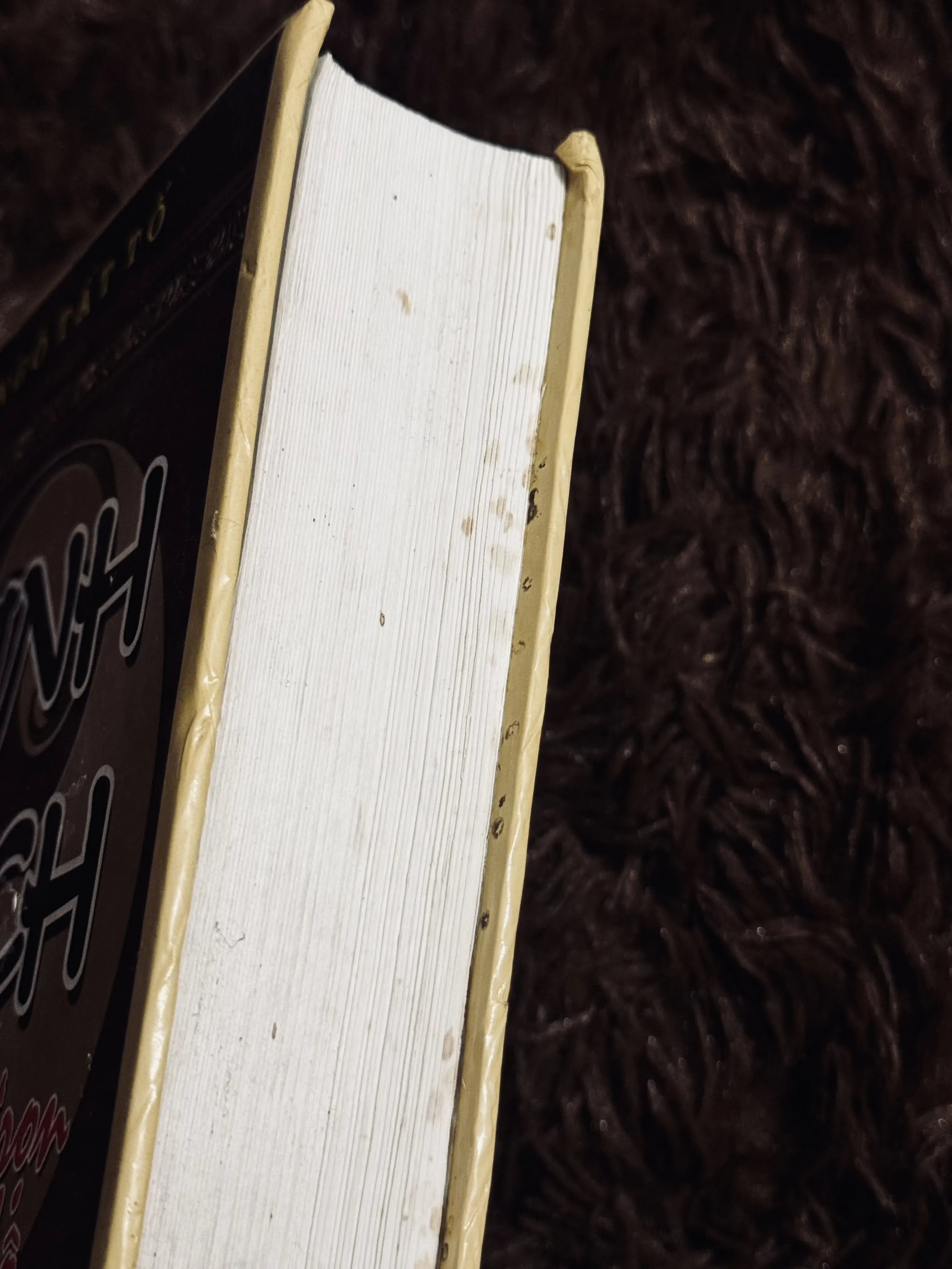 Kinh dịch - Ngô Tất Tố (Trọn bộ) 973519