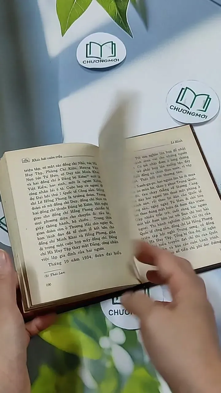 Khúc Hát Vườn Trầu - Lê Minh 703151