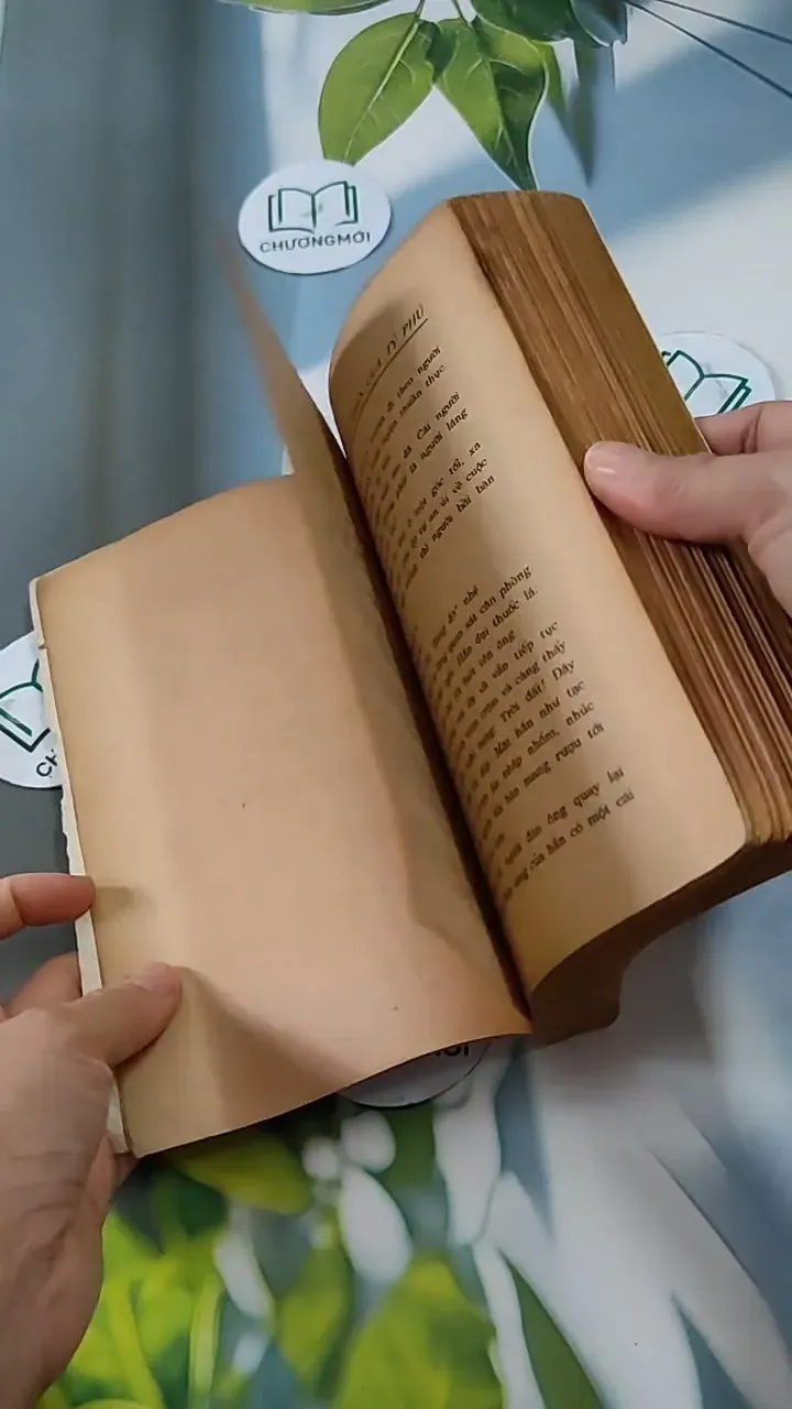 Phu Nhân Tỉ Phú Giêm - J.H. Chase 713816