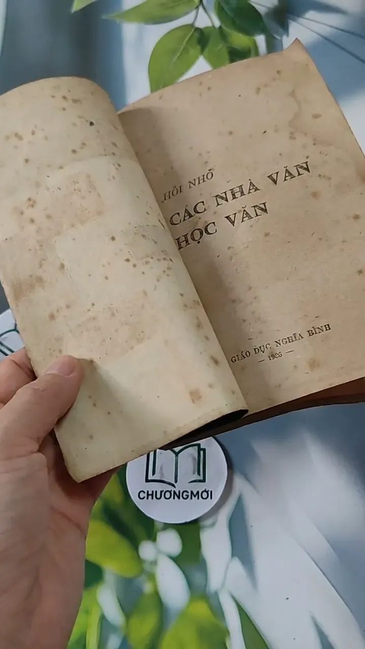 Hồi Nhỏ Các Nhà Văn Học Văn 713828