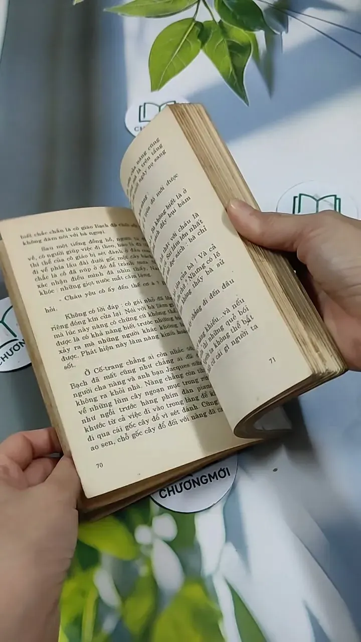 Nhà Nữ Ngoại Cảm Bất Hạnh - Guy Des Cars 713859