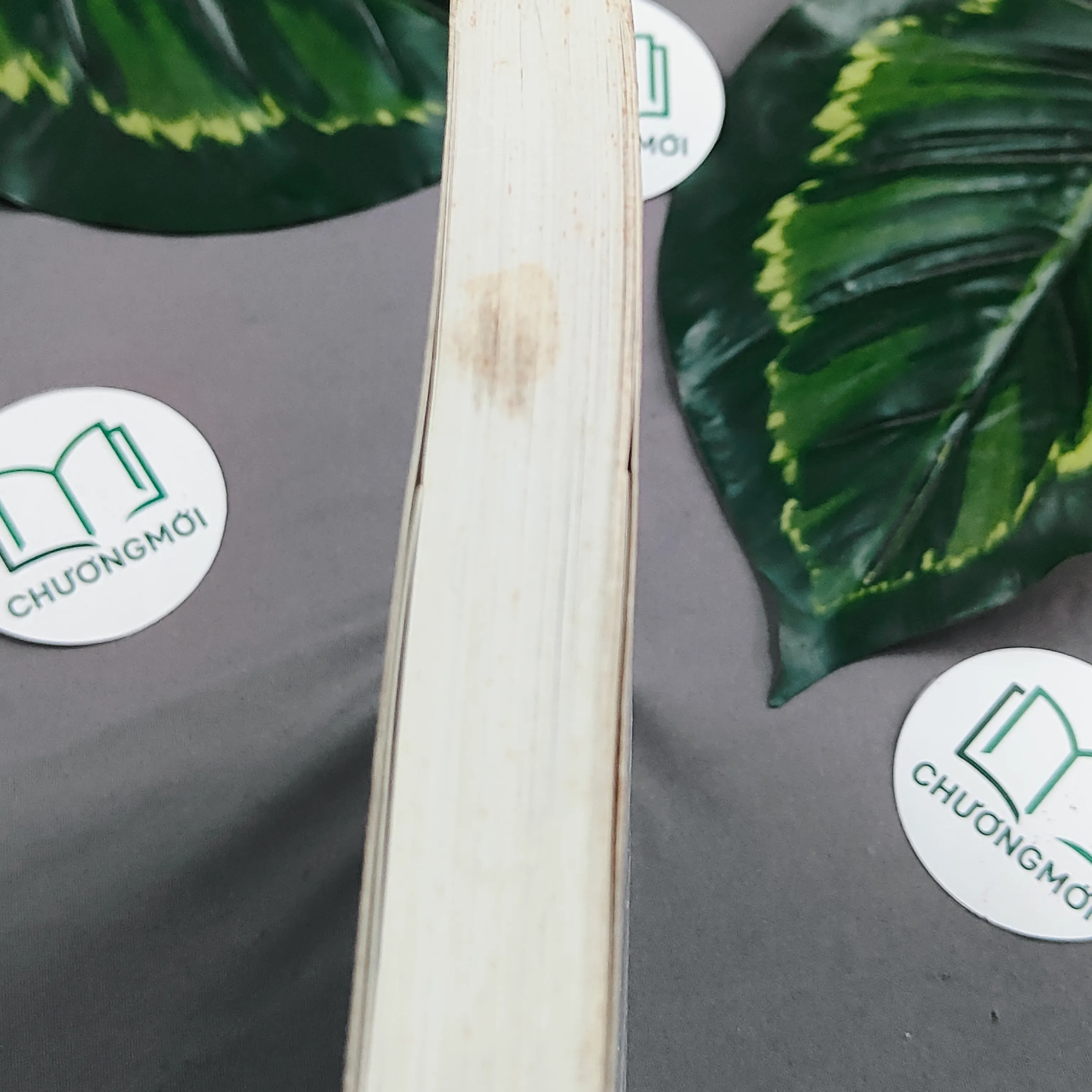 Lựa Chọn Của Trái Tim (2009) - Nicholas Sparks 603321