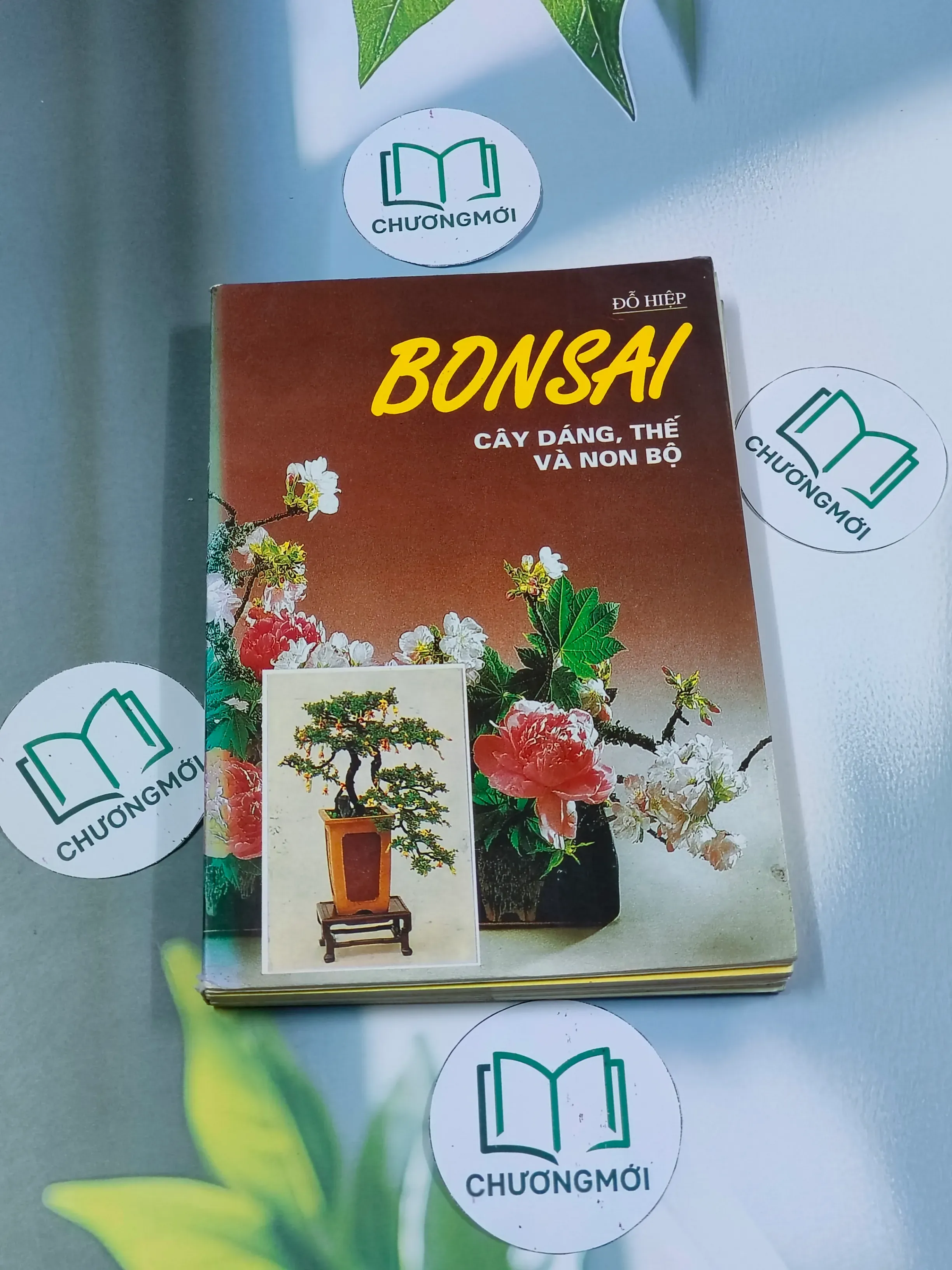 Bonsai: Cây dáng, thế và non bộ - Đỗ Hiệp