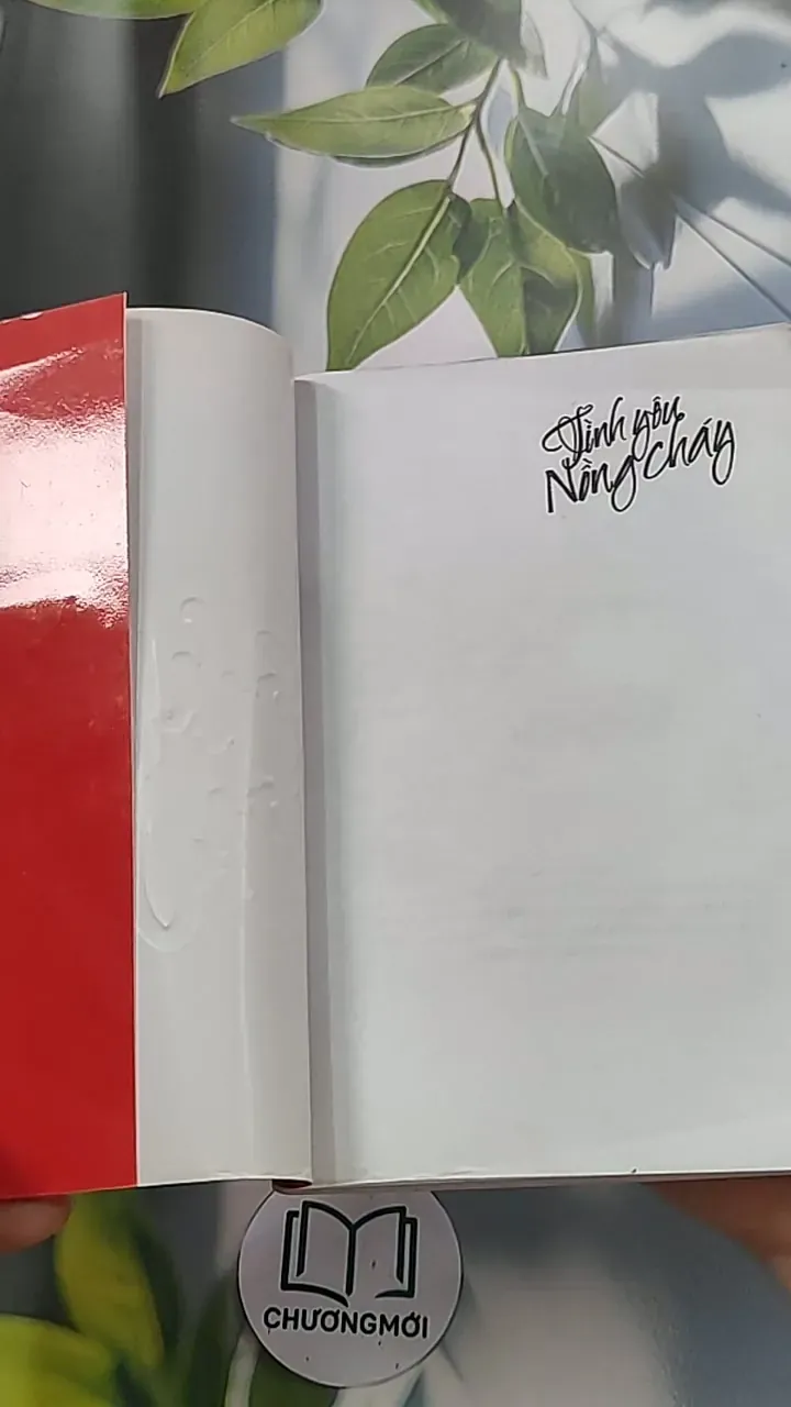 Tình yêu nồng cháy - Sái Cần Cần 688657