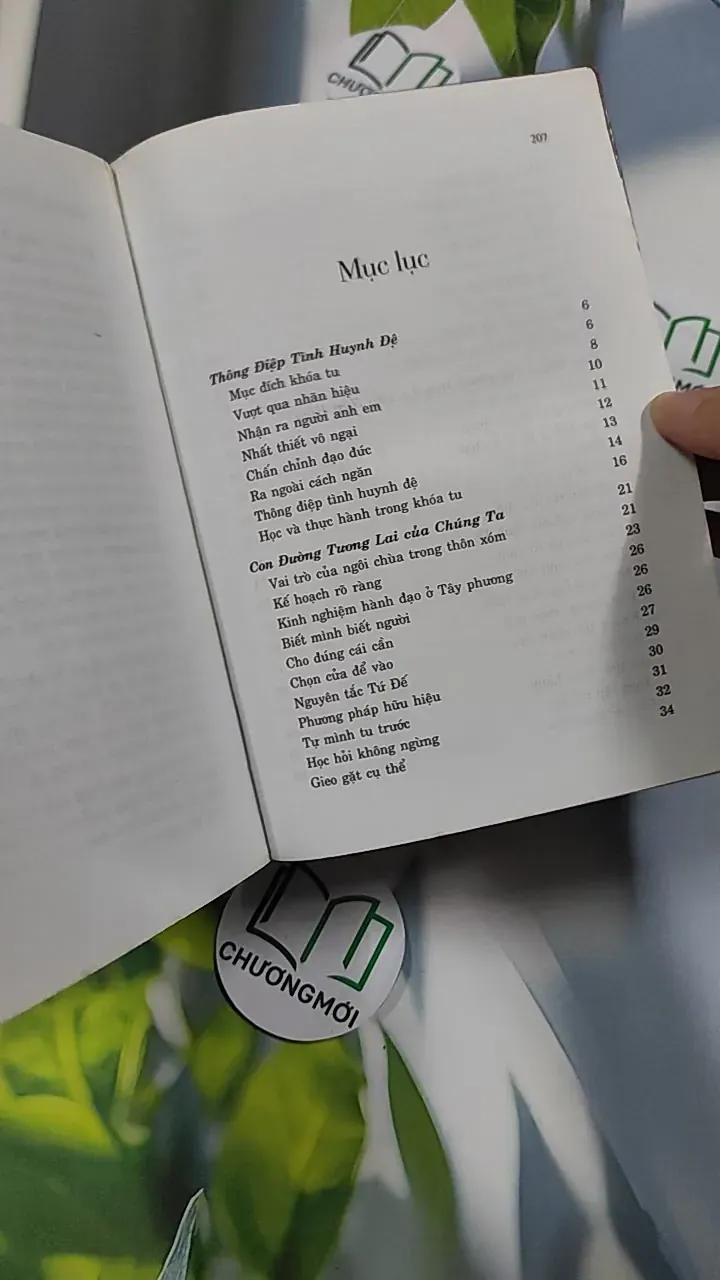 Thông điệp tình huynh đệ - Thích Nhất Hạnh 776241