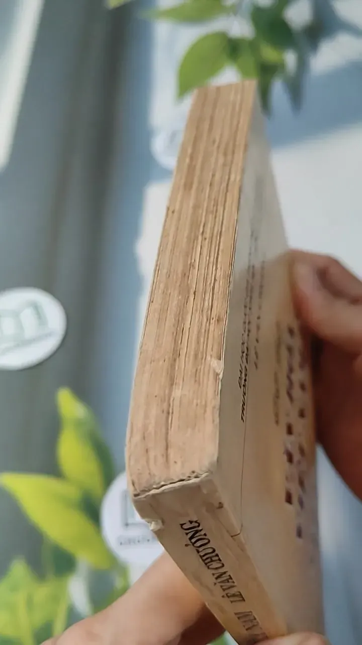 Cơ Sở Văn Hóa Việt Nam - Lê Văn Chưởng 727231