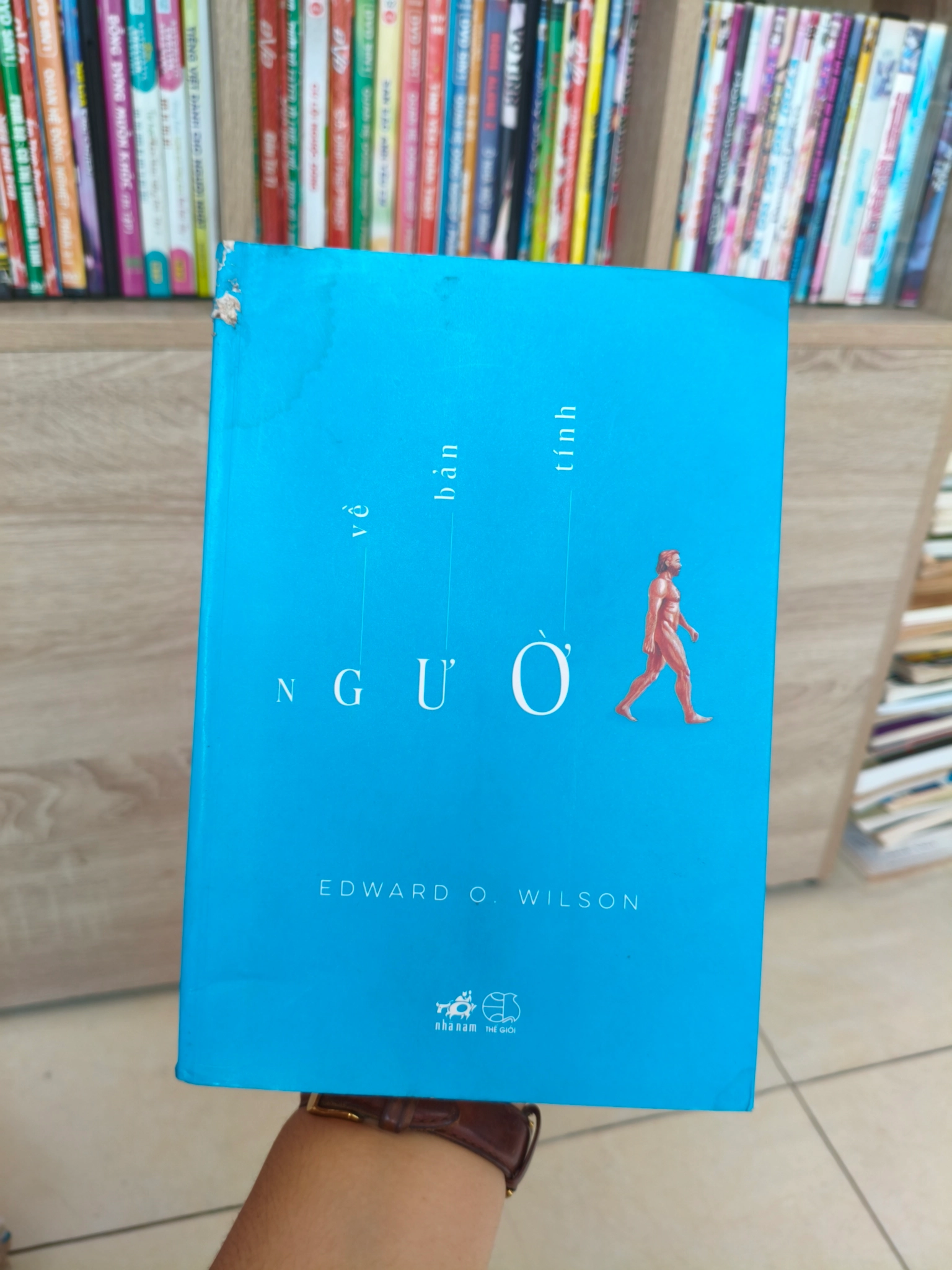 Về bản tính người 🌱 by  - Sách Book Cover - Ngọc Hiển Books