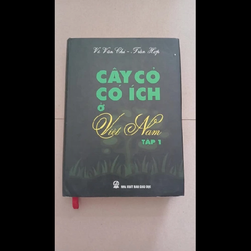 Cây Cỏ Có Ích Ở Việt Nam (Bộ 2 Tập) - Võ Văn Chi, Trần Hợp