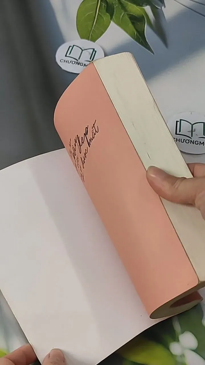 Khi Bạn Bận Vừa Xinh Đẹp, Còn Sợ Chi Được Mất - Lương Sảng 705609