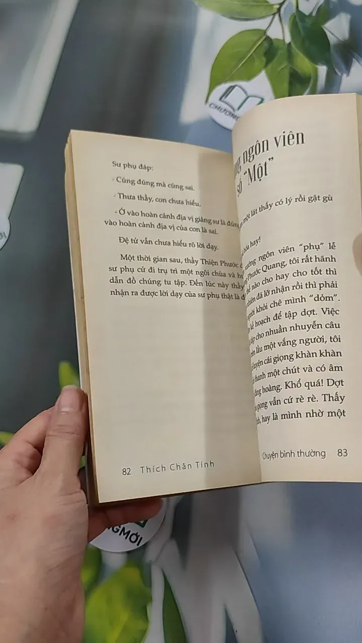 Chuyện Bình Thường - Thích Chân Tính 776106