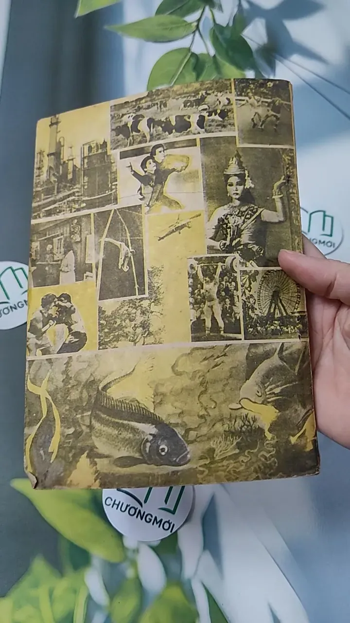 [XƯA] Tạp Chí Khoa Học - Đời Sống: Tình Đất Đỏ (1984) 775998