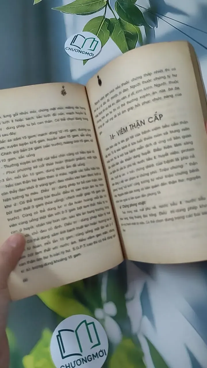 [MIỄN PHÍ BỌC SÁCH] [XƯA] Điều Trị Bệnh Thông Thường Bằng Thuốc Đông Y Đơn Giản (1993) - Trương Phong & Dương Trí Phù 780832