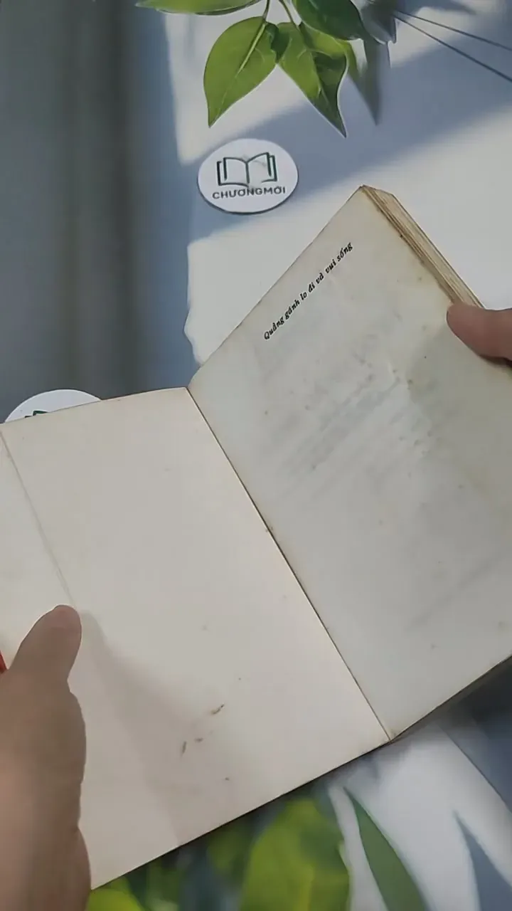 Quẳng Gánh Lo Đi Và Vui Sống 715597