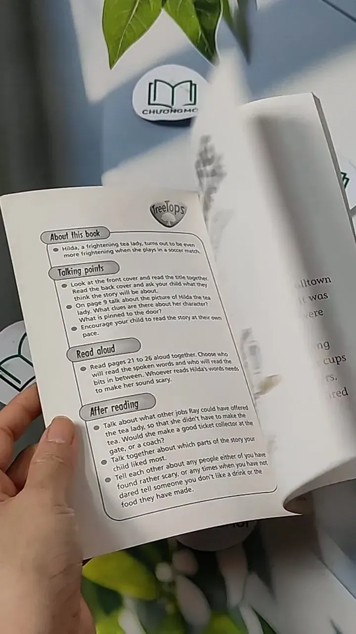 Oxford Reading Tree - Stage 11: TreeTops More Stories A: The Big Chance 703070