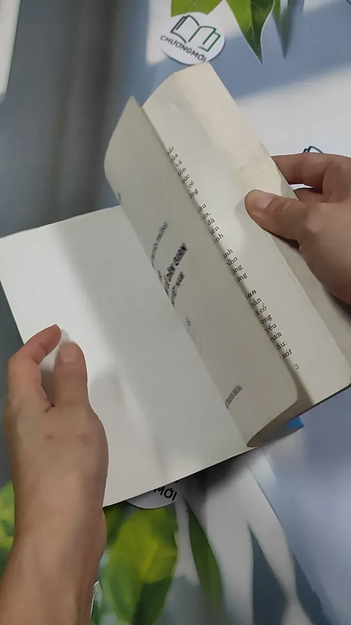 Một số phong tục nghi lễ dân gian truyền thống Việt Nam - Quảng Tuệ 776218