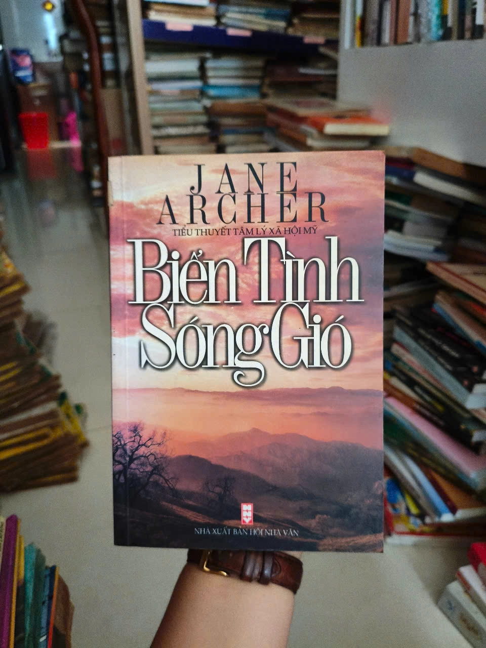 Biển Tình Sóng Gió by  - Sách Book Cover - Ngọc Hiển Books