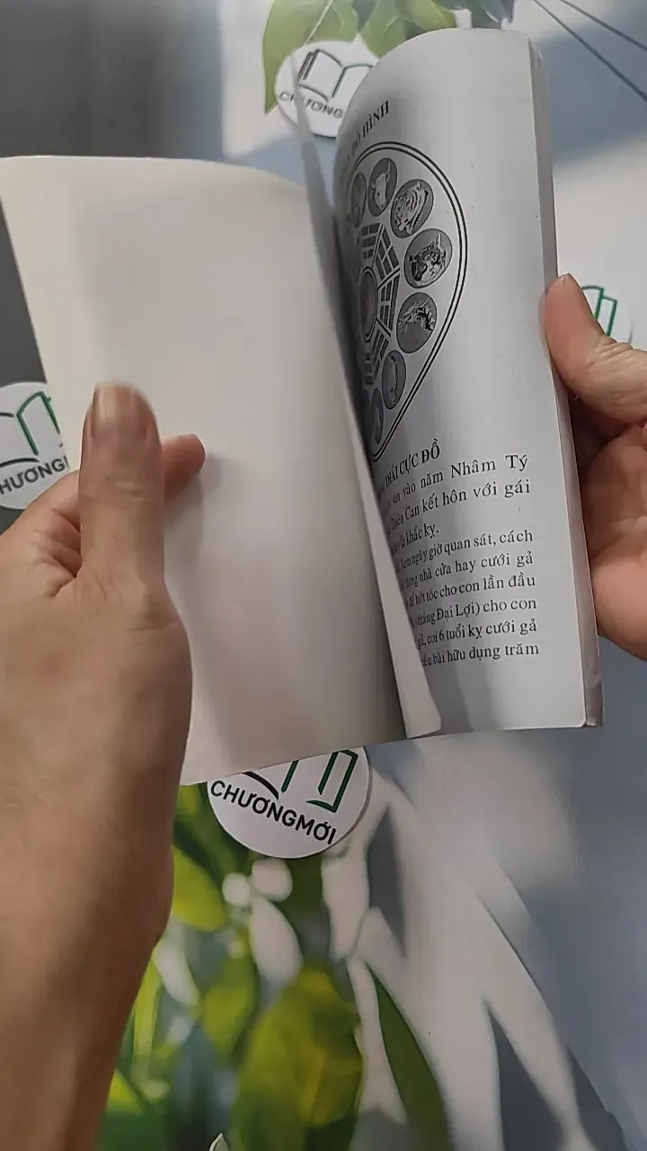 Cao Ly Đầu Hình 775958