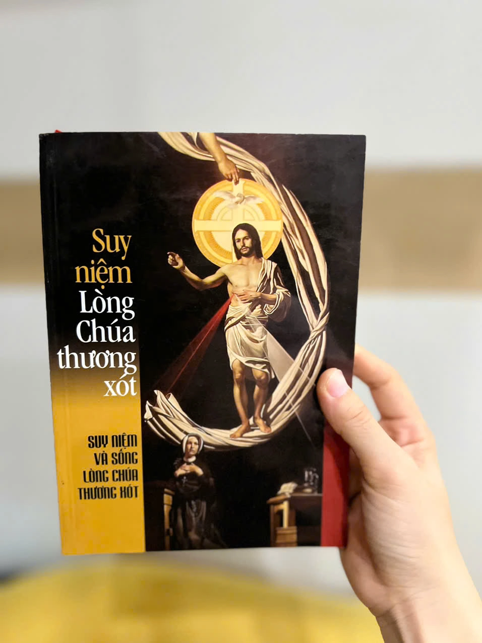 Suy Niệm Lòng Chúa Thương Sót by  - Sách Book Cover - Ngọc Hiển Books