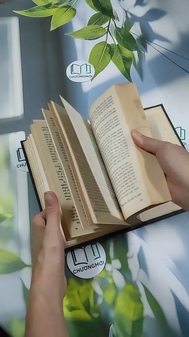 Bức Tranh - Đanhin Granhin 750804